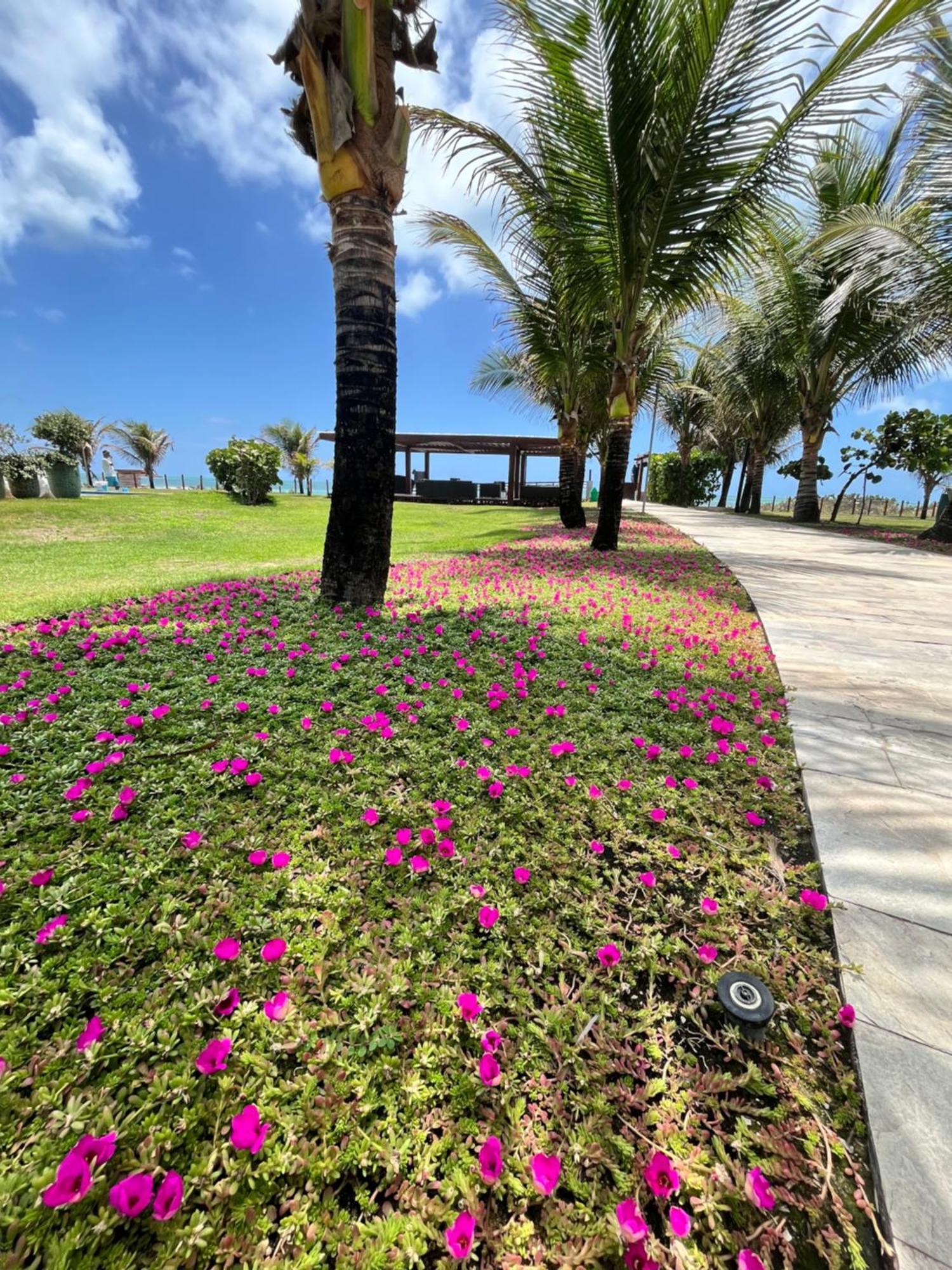 Resort Beira Mar Em Porto De Galinhas - Cupe Beach Living Porto de Galinhas Exterior photo